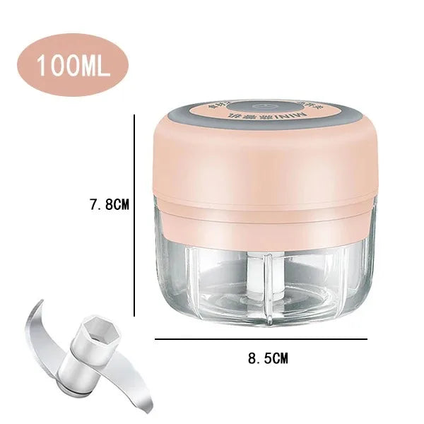 Electric Mini Garlic Chopper, 250ML Food Chopper Garlic Mincer USB,