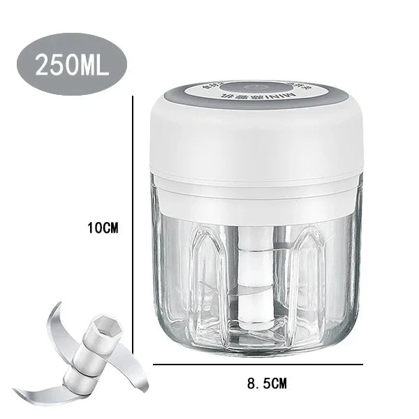 Electric Mini Garlic Chopper, 250ML Food Chopper Garlic Mincer USB,
