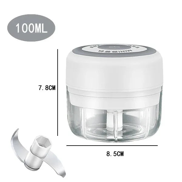Electric Mini Garlic Chopper, 250ML Food Chopper Garlic Mincer USB,