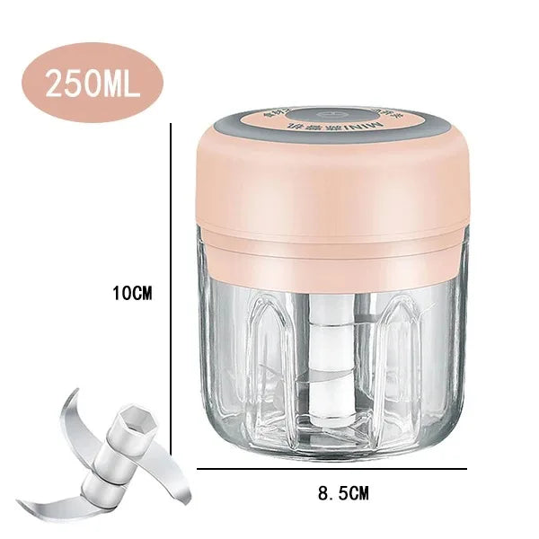 Electric Mini Garlic Chopper, 250ML Food Chopper Garlic Mincer USB,